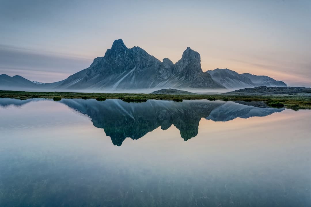 https://p1.img.cctvpic.com/photoworkspace/contentimg/2025/09/06/2025090610053811759.png